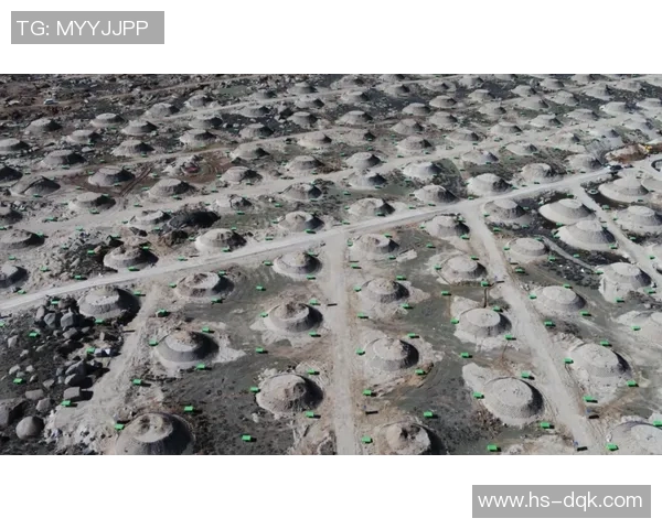 代怀博：探索未来科技与人类生活的深度融合与影响